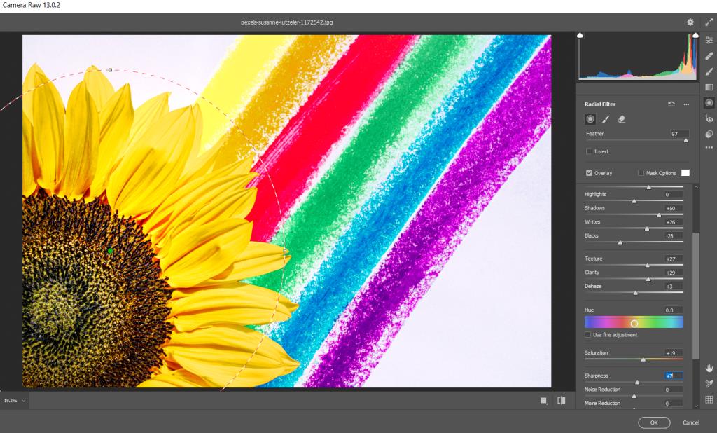 Adobe Camera Raw'u Photoshop'ta Akıllı Nesne Olarak Kullanma