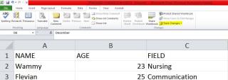 So verwenden Sie das Nachverfolgen von Änderungen in Microsoft Excel