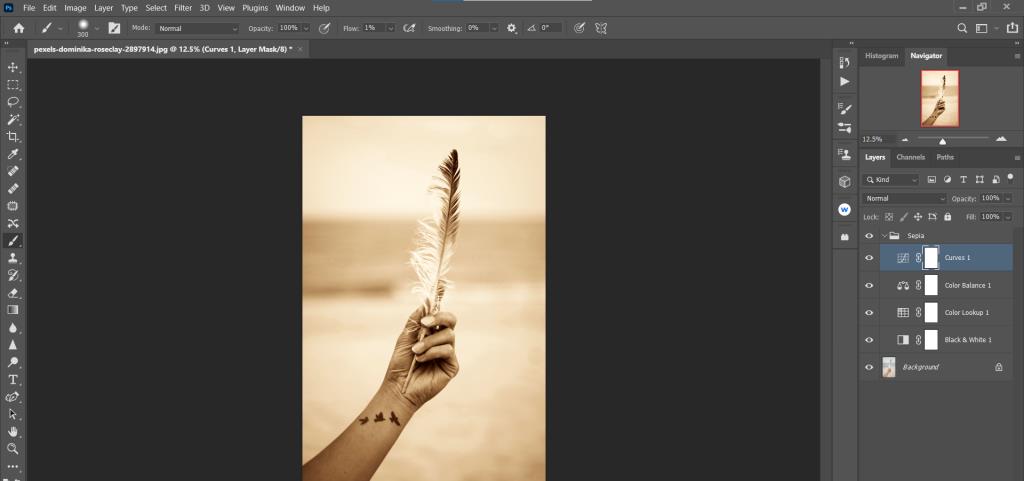 Photoshop에서 사용자 정의 세피아 효과를 만드는 방법