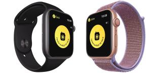 Hoe de Walkie-Talkie op Apple Watch te gebruiken