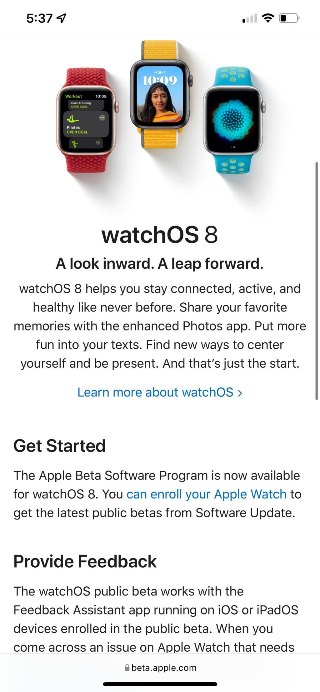 Apple Watch에 watchOS 8 베타를 설치하는 방법