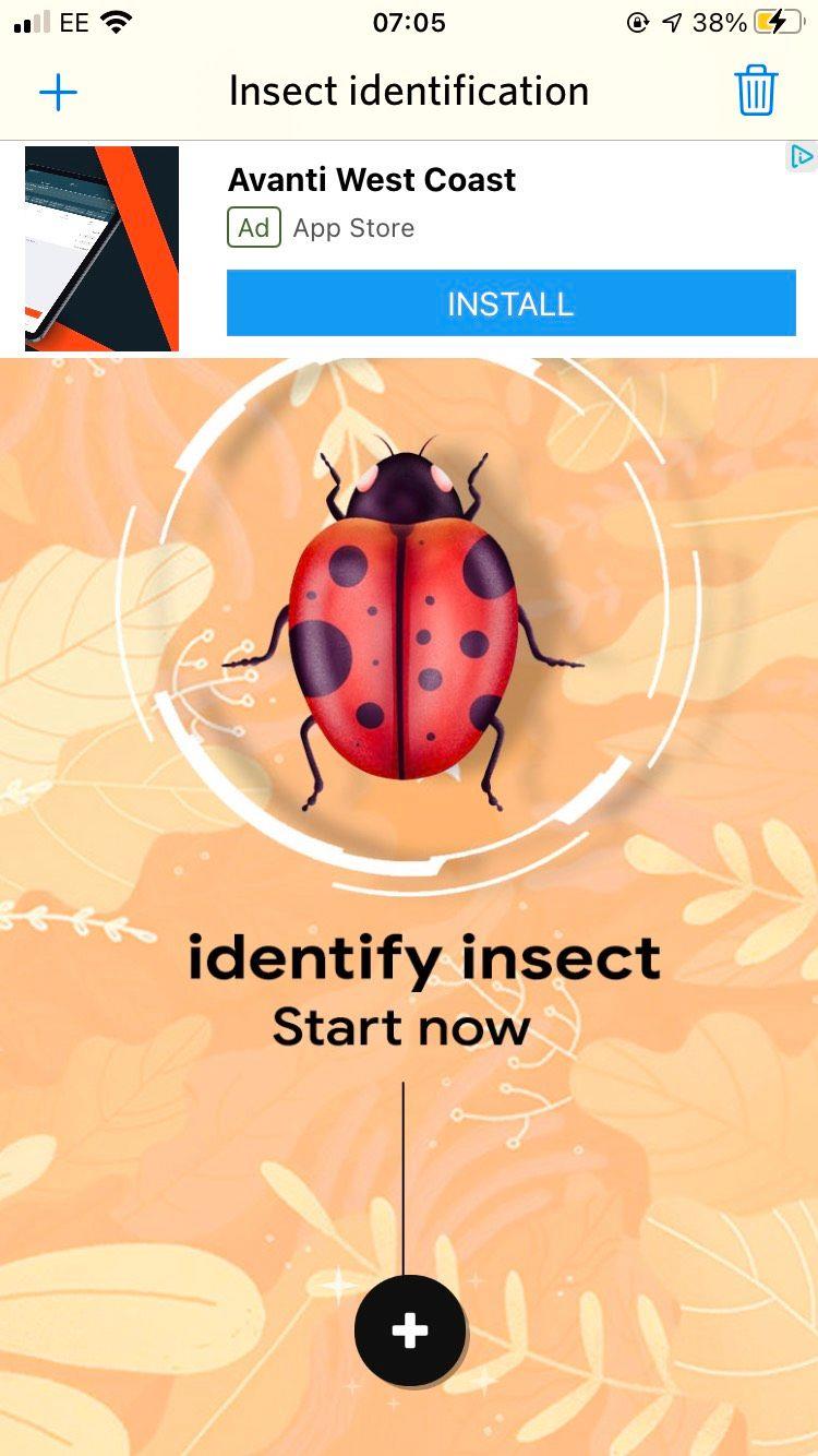 De 5 beste apps op iPhone voor het identificeren van insecten en insecten