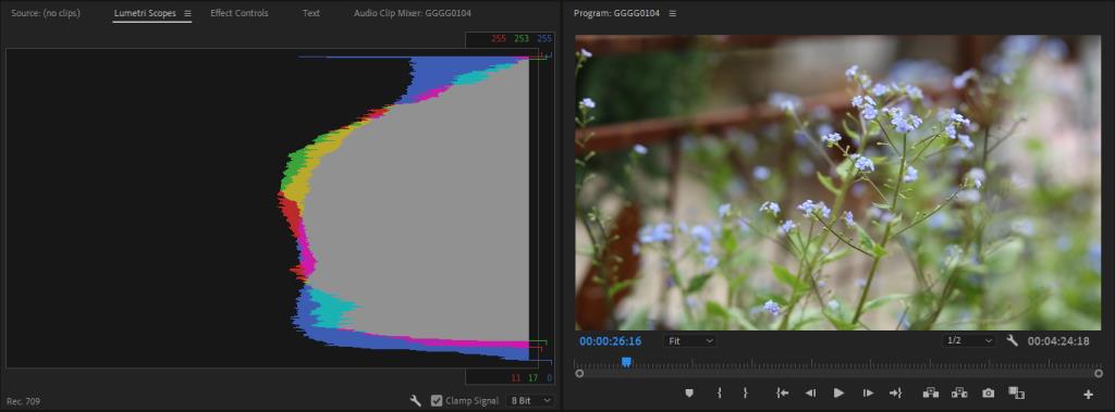Lumetri-scopes lezen in Adobe Premiere Pro