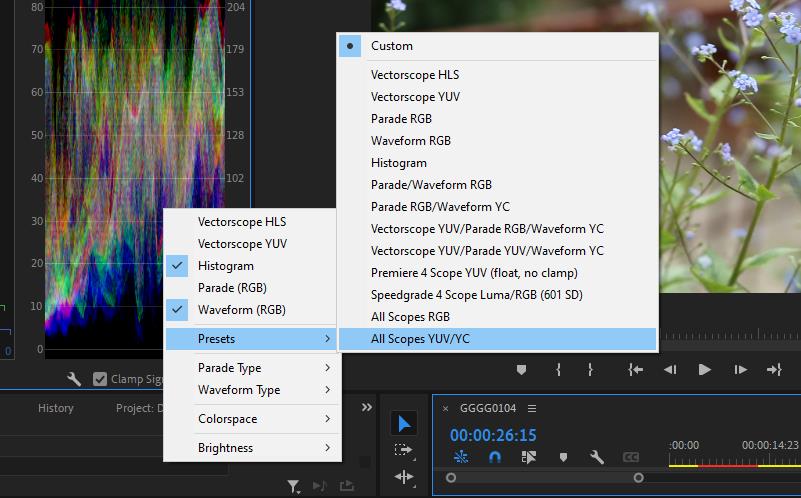 Come leggere gli oscilloscopi Lumetri in Adobe Premiere Pro