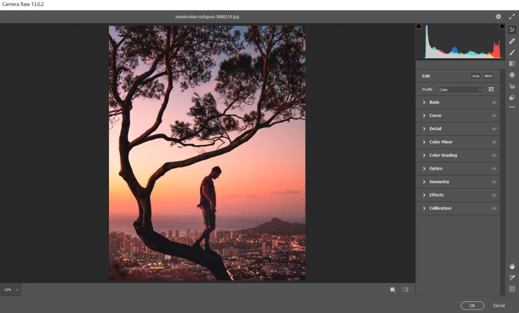 Adobe Camera Raw'u Photoshop'ta Akıllı Nesne Olarak Kullanma