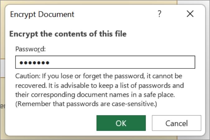 Een Excel-bestand met een wachtwoord beveiligen op Windows en OneDrive